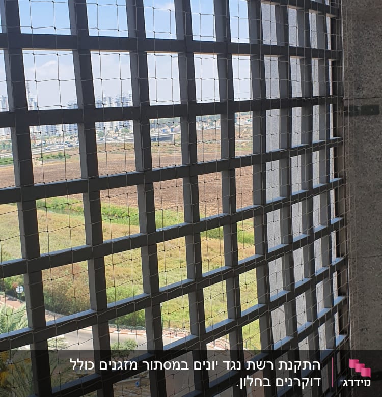 רשת למניעת כניסת יונים על חלון בניין